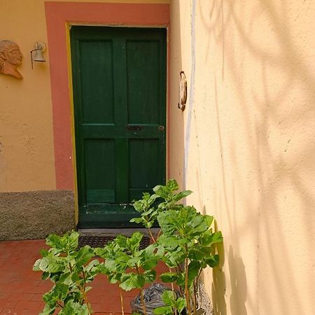 Norina'S House Villa Monterosso al Mare Exterior foto
